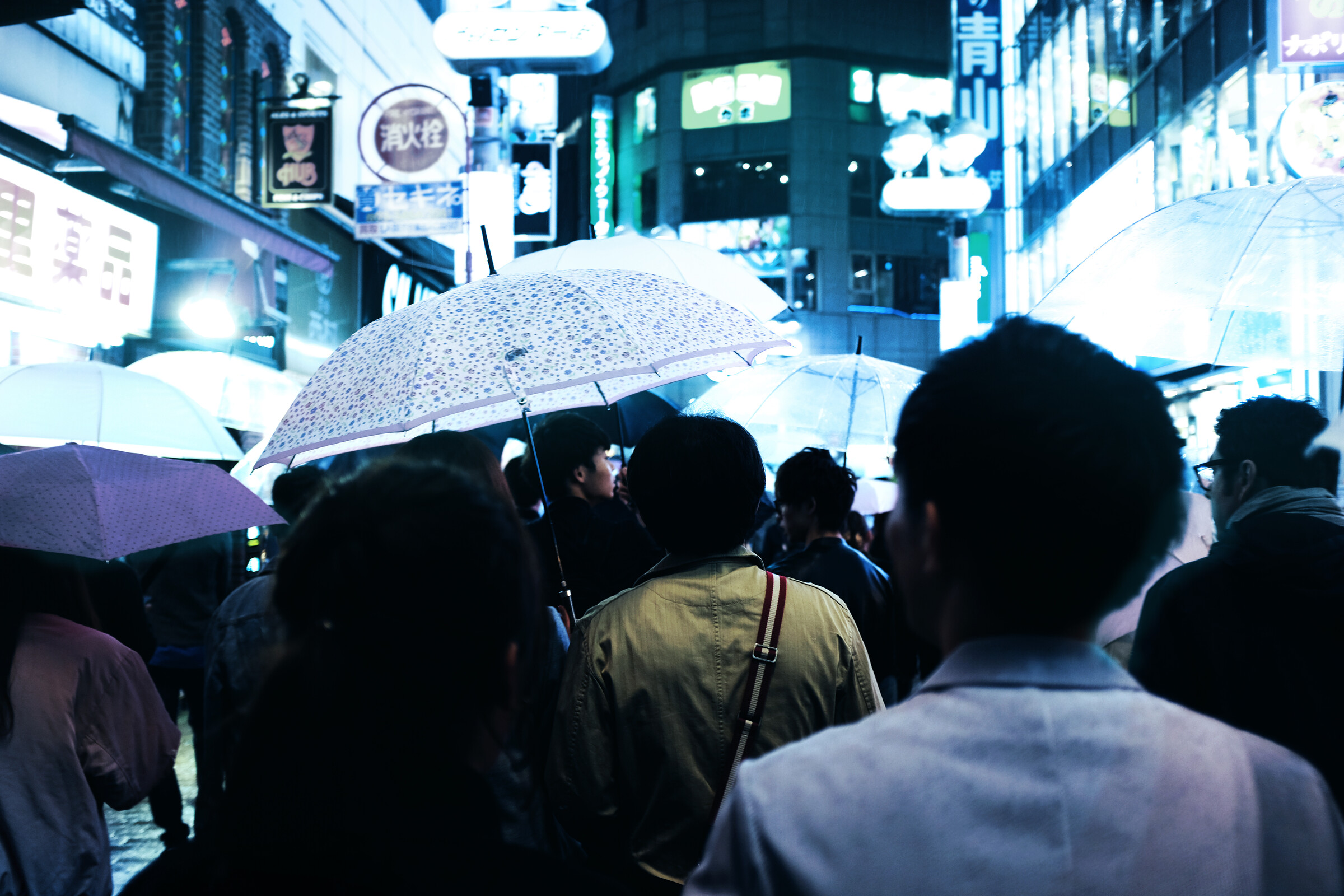 Pedestrians carrying umbrellas on a rainy city street