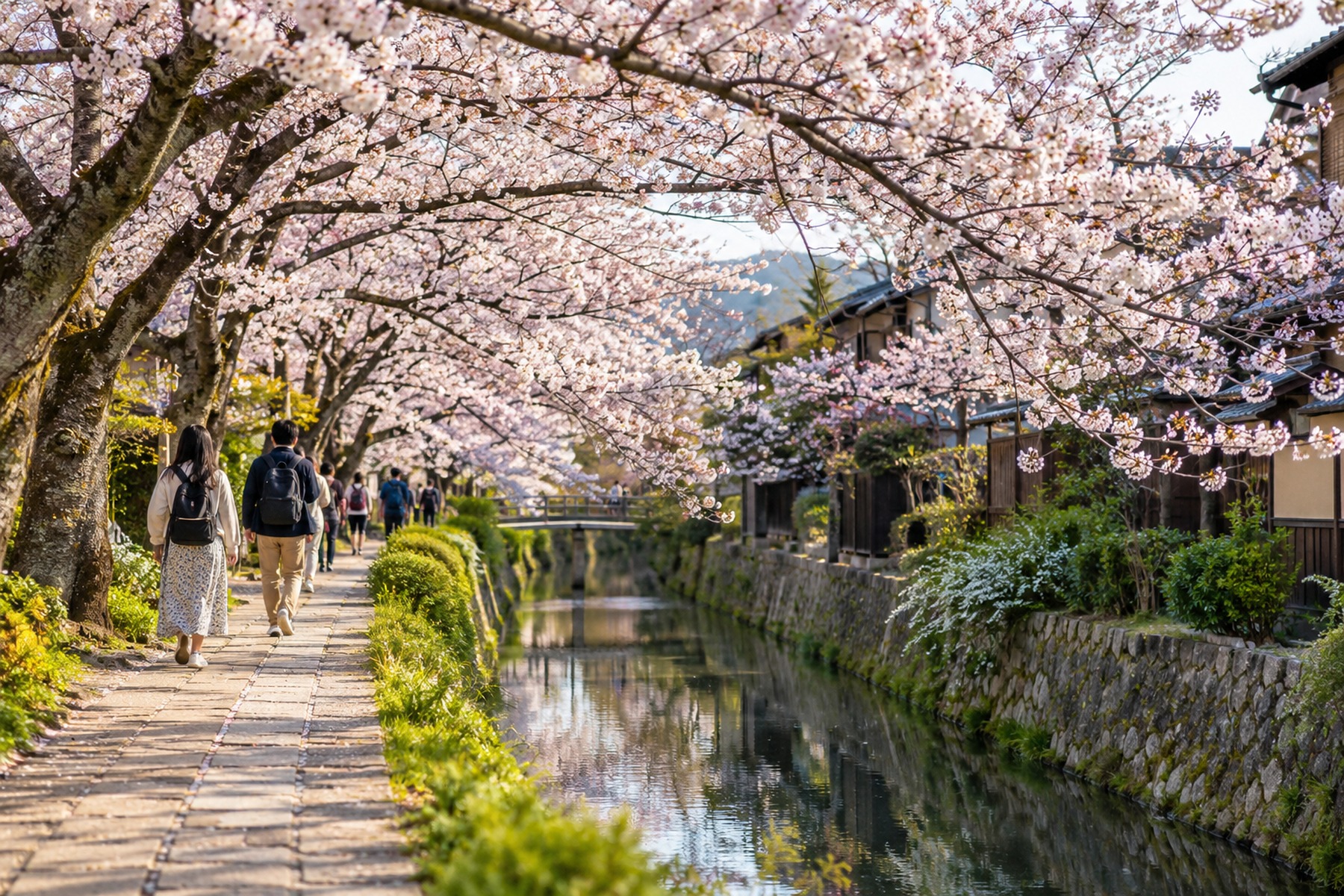 Travelers walking beside a canal under cherry blossoms in Japan
