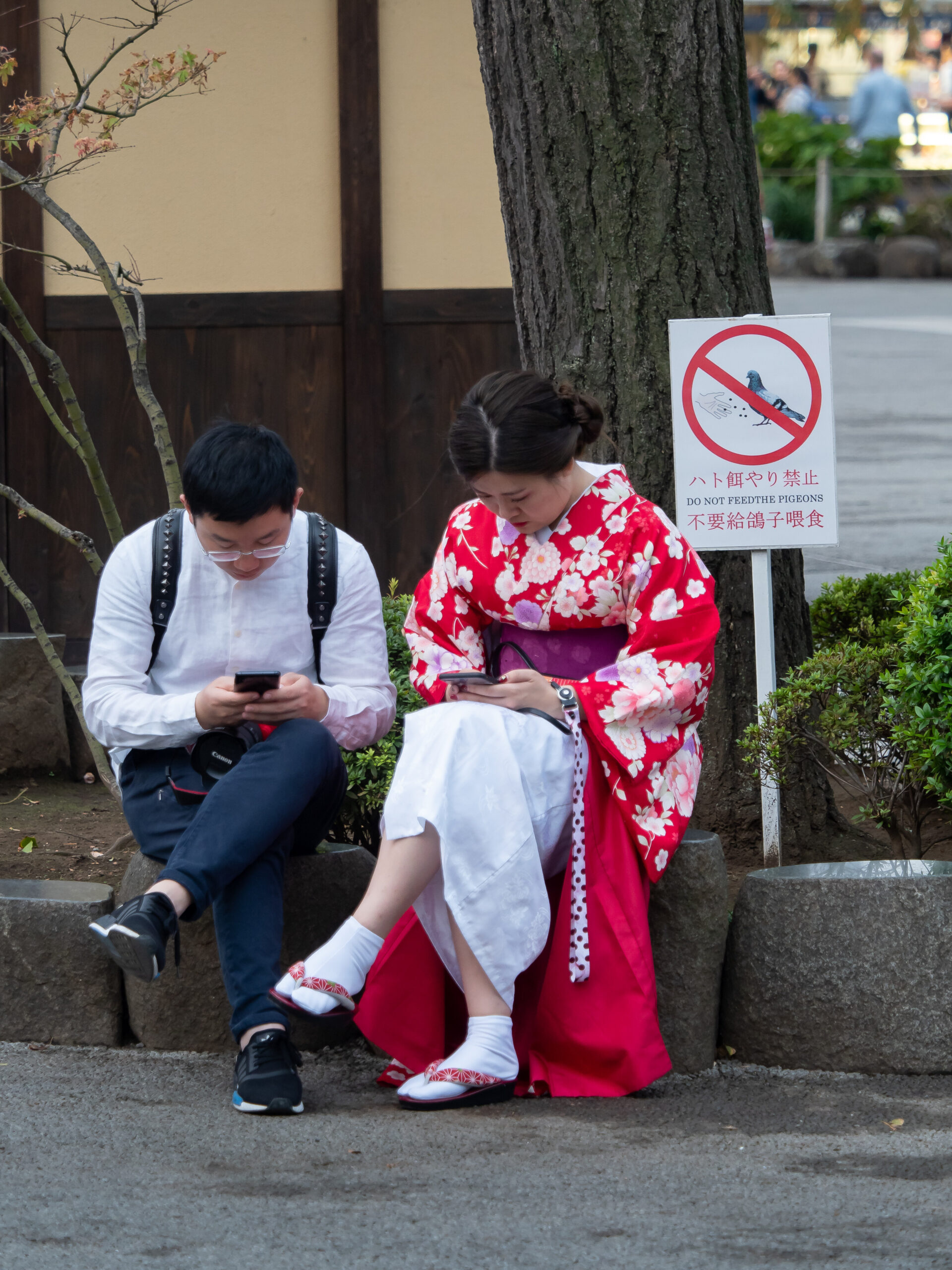 Two visitors checking mobile phones beside a tree at Senso-ji in Tokyo
